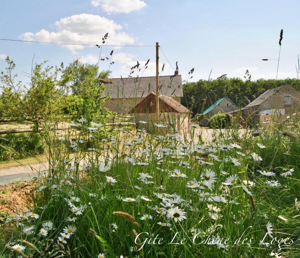 Gite Familial Pour 6 Pers En Campagne Bouere Экстерьер фото